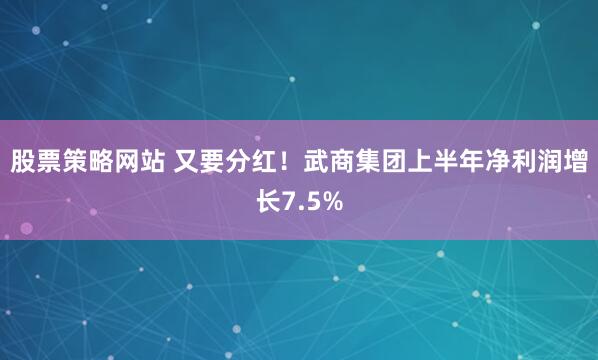 股票策略网站 又要分红！武商集团上半年净利润增长7.5%