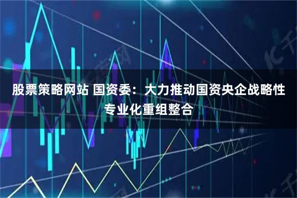 股票策略网站 国资委：大力推动国资央企战略性专业化重组整合